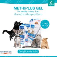 Methiplus gel 30 g. เจลอาหารเสริมปรับสมดุลปัสสาวะสำหรับสุนัขและแมว ดูแลเรื่องนิ่ว โรคไต และลดกลิ่นปัสสาวะ