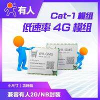 &amp;lt;&amp;gt; มีคน lte cat1 โมดูลเข้ากันได้ NBGPRS แพคเกจอัตราต่ำ 4G การส่งผ่านข้อมูลแบบอนุกรมของโมดูล GM5