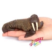 Monkey Toys - โมเดลสัตว์ Walrus สิงโตทะเล แมวน้ำ ขนาด 11.50 CM (จากหาดใหญ่)