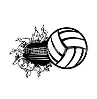 [COD] volleyball wall generation carved self-adhesive removable