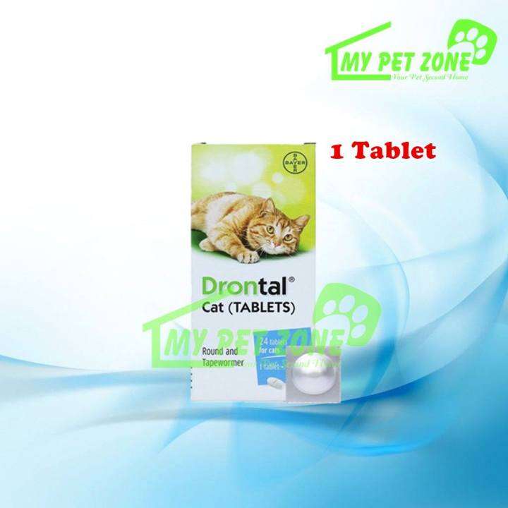 Bayer Drontal Cat Deworm Tablet / Ubat Cacing Kucing (1 Tablet) Lazada