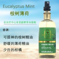 Aromatherapy BBW eucalyptus mint soothes the nerves and decompresses indoor pillow towel spray American Bath Body Works