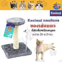 Kanimal Cat Toy ของเล่นแมว เสาลับเล็บแมว พร้อมหนูสปริง คอนโดแมว สำหรับแมวทุกวัย Size S ขนาด 26x19 ซม.