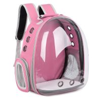 2021Carrier For Cat Backpack bag Portable Pet Carrier Bag For Cat Small Dog Cat Carrier Backpacks Travel Space Capsule Cage