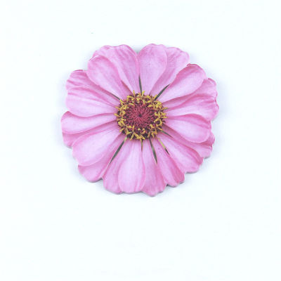 Memo Pad Stationery Flower Shape Memo Pad Colour Stickers Memo Pad Self Stick Notes Office School Supplies