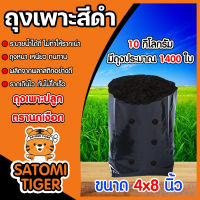 ถุงเพาะกล้า ขนาด4x8 ตรานกเงือก 10 กิโลกรัม ถุงปลูกกล้า ถุงดำเพาะกล้า ถุงชำต้นไม้ ถุงดำเพาะกล้า ถุงดำเพาะปลูก ถุงปลูก ถุงเพาะต้นไม้