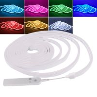 Battery Powered LED Neon Light DC5V USB Neon Strip Rope Lamp 2835 120Leds/m PIR Motion Sensor Flexible Neon Led Tape Waterproof Power Points  Switches