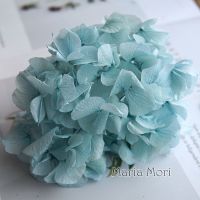 hotx【DT】 Preserved Big Petals Macrophylla Hydrangea Office Flowers Decoration Wedding