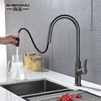 [COD] Cross-border special for hidden hot and cold European kitchen with built-in pull telescopic gun gray sink faucet