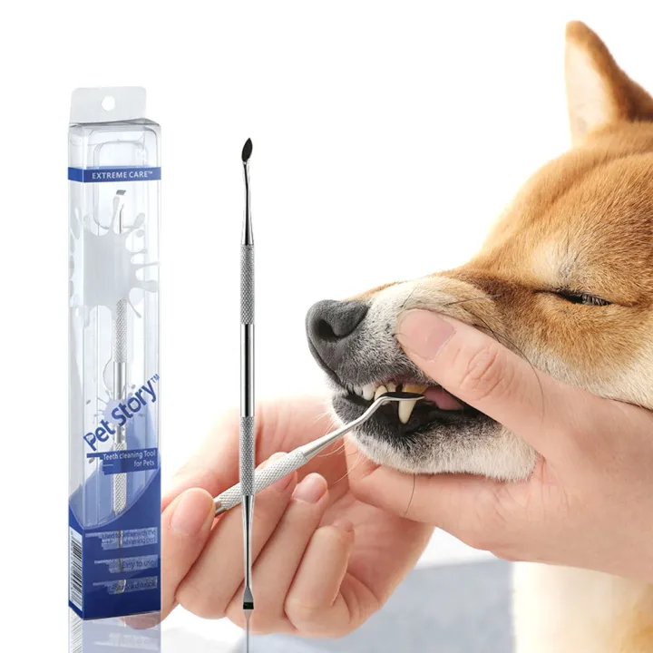 do groomers brush dogs teeth