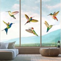 12 Pcs Lrge Size Bird Window Clings Anti-Collision Window Clings Decals to Prevent Bird Strikes on Window Glass