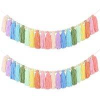 2X 37Inch Pastel Rainbow Tassel Garland with Wood Bead Colorful Tapestry for Bedroom Wall Classroom Nursery Party Decor