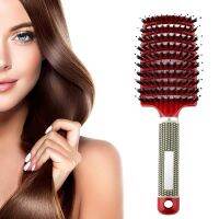 【BEIBEI】 Hair Scalp Massage Comb Hairbrush / Women Wet Curly Detangle Hair Brush / Bristle Nylon Hair brush for Salon Hairdressing Styling Tools