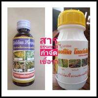 สารกำจัดเชื้อราและแบคทีเรีย 1(100,270ml) สารจากธรรมชาติใช้ได้กับพืชทุกชนิด ปลอดภัยต่อสิ่งแวดล้อม ยากันรา ยารา ปุ๋ย ยา