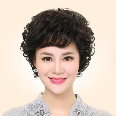 TSE Short Curly Hair Wig Real Hair Made Middle-aged Mama Wigs Natural Fashion Realistic And Breathable dbv