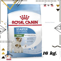 ?Lotใหม่ พร้อมส่งฟรี? Royal Canin Mini Starter Mother &amp; Babydog อาหาร ลูกสุนัข และ แม่สุนัข พันธุ์เล็ก ขนาด 16 kg.  ✨