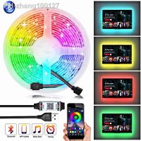 Led Strip USB Tape Diode RGB 3535 Flexible Ribbon DIY DC 5V Bluetooth Type for Bedroom Decor Christmas lights LED Strip Lights