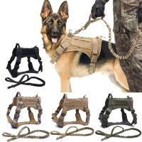 【YF】 Dog Harnesses Training Harness And Leash Set Small Medium Big Dogs Walking Shipping Items