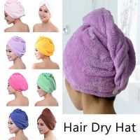 Lady Quick Drying Hat 1PC/ 2PCS Microfiber Bath Towel Hair Dry  Cap Bath Tool(Random Color) Towels