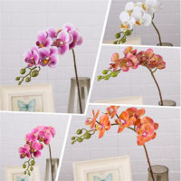 7p Artificial Latex Butterfly Orchid Flowers 7 heads Real Touch Mini Good Phalaenopsis Orchid 25" for Wedding Decorative Flower