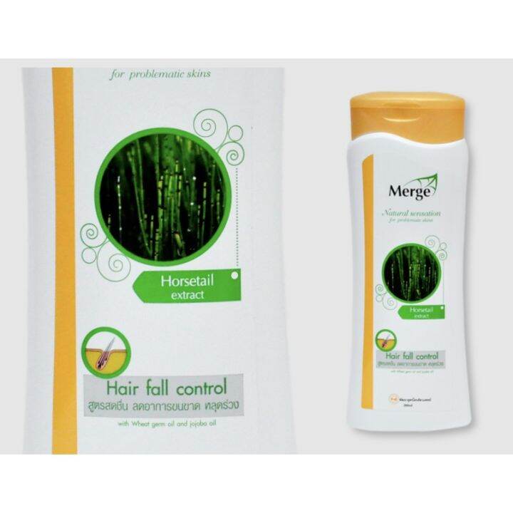 merge-shampoo-เมิร์จ-แชมพูสูตรลดอาการขนหลุดร่วง-ด้วยสารสกัดจากหญ้าถอดปล่อง-300ml