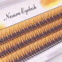 The latest Korean pop fishtail type Fashion dovetail fly eyelash Two long middle short plant grafting false eyelashes wholesale