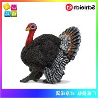 ? Genuine and exquisite model Schleich simulation jungle poultry farm animal static model childrens toys 13900 turkey