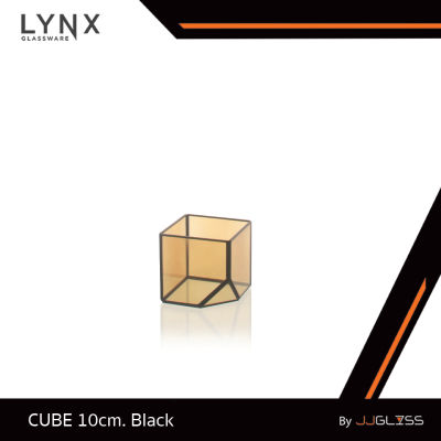 LYNX -  CUBE 10cm. Black - แจกันกระจก แจกันเรขาคณิต แจกันทรงเหลี่ยม ตกแต่งบ้านสมัยใหม่และมีสไตล์ -ไม่สามารถใส่น้ำได้
