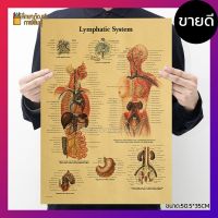 ระบบน้ำเหลืองมนุษย์ Lymphatic system ภาพโปสเตอร์ กระดาษคราฟท์ สไตล์วินเทจ เพื่อ การศึกษา ตกแต่งบ้าน