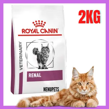 Buy royal canin on sale renal cat food online