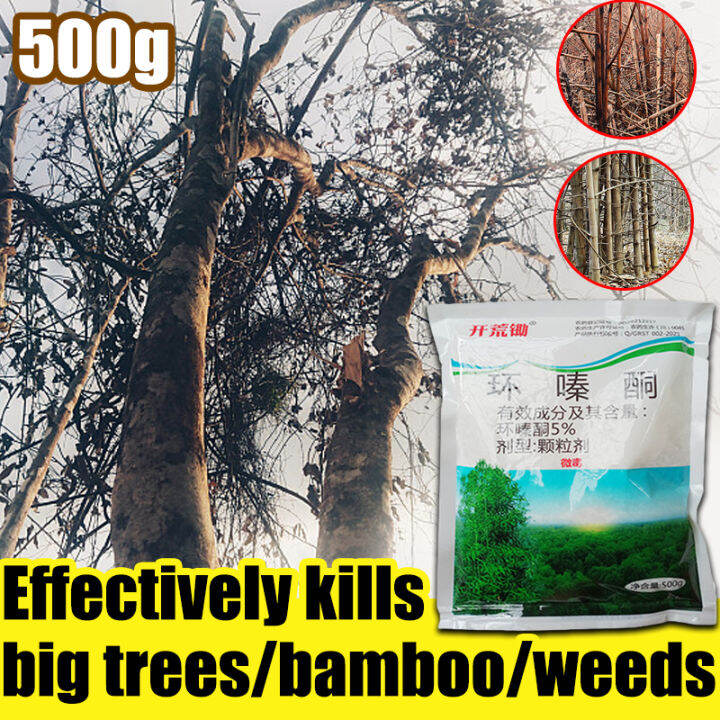 cod 💥PP herbicide to kill tree 3 seconds to remove big trees kill tree