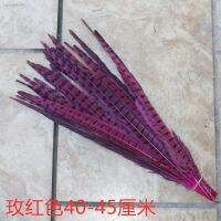 ?สินค้าขายดี? [ดอกกุหลาบสีแดง ,ไก่ฟ้าหาง 40-45 ซ1]แมวตลก✑☌DIY ขนไก่ฟ้าธรรมชาติระยะปลอด ขนไก่ตลกขนแมวติดขนไก่ฟ้าปักกิ่งงิ้ว LINGZI ไก่ฟ้าหาง 40-45 ซม