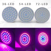 220V Plant Grow Light Lamps Indoor Greenhouse Cultivo Flower Red Blue Hydro Growbox Fitolampy 36/54/72 LED WB5TH