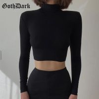 Knitted Gothic Casual Black T-Shirts Grey Long Sleeve Bodycon Turtleneck Blue Crop Tops Women Autumn Winter Clothing