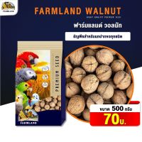 FarmLand Walnut ถั่ววอลนัท ฟาร์มแลนด์ สำหรับนก ( 500 g )