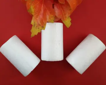 10pcs Cylinder Shape Polystyrene Styrofoam Foam for Modeling Craft 3.9x3.9cm