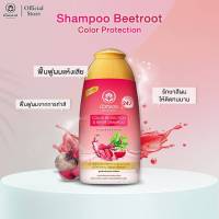 Bualuang Color Protection Repair Shampoo 250ml บัวหลวง คัลเลอร์ โพรเทคชั่น บีทรูทแชมพู (1 ขวด)