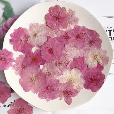 【CC】 12pcs 3-4cm Pressed Dried Herbarium Epoxy Resin Jewelry Making Face Makeup Candle