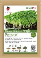 เมล็ดต้นอ่อนคะน้า ซามูไร Microgreen Chinese Kale Samurai บรรจุ 10 g.