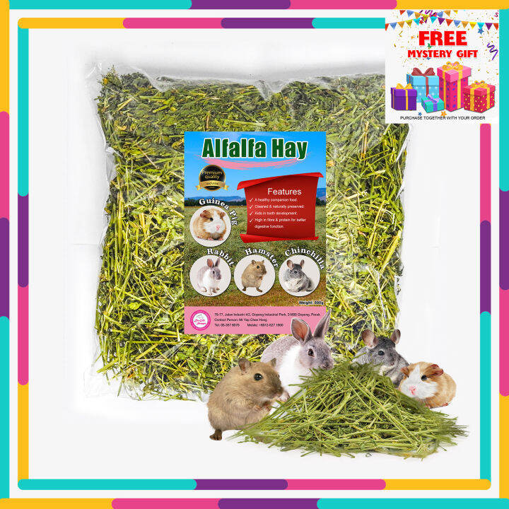 Ultra Premium small pet food Alfalfa Hay wholesale lucerne hay for rabbit, guinea pig, hamster