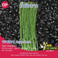 เมล็ดพันธุ์ ถั่วฝักยาวเมล็ดดำ ขจรเดช ซ. 10 g. [โปรโมชั่น ซื้อ10แถม1 คละได้]