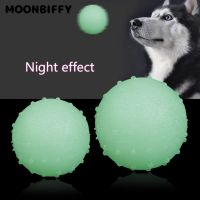 Durable Pet Luminous Ball Rubber Bite Resistant Squeeze Toys Seal No Stress Fluorescence Dog Gifts Puppy Interactive Supplies