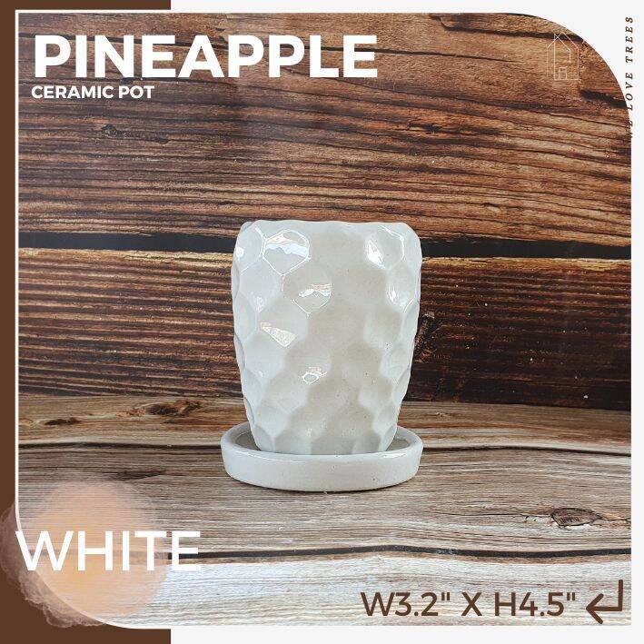 กระถางเซรามิค-ทรงสับปะรด-pineapple