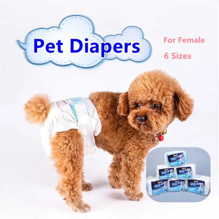 Are Dog Diapers For Poop