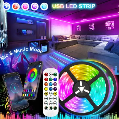 RGBIC LED Strip Lights Bluetooth Remote Control WS2812 SMD 5050 Decoration Living Room Fita Lamp Music Model Background String LED Strip Lighting