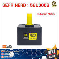 GERHEAD MOTOR CPG 5GU30KB