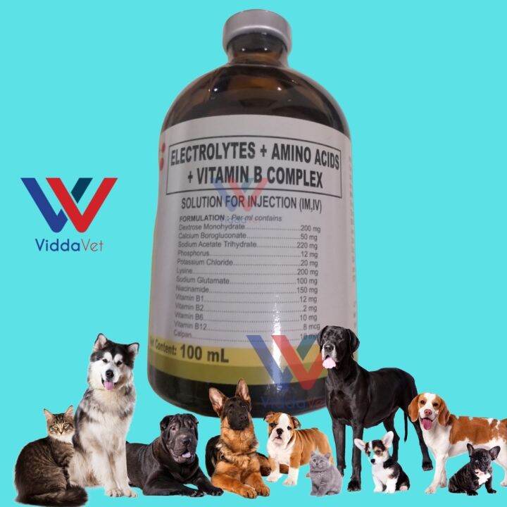 Viddavet Dextrolyte 100ml ELECTROLYTES AMINO ACIDS VITAMIN B COMPLEX