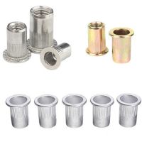 M3/M4/M5/M6M8/M10 304 Stainless Steel Rivet Nut Color Zinc Aluminum Rivnut Flat Head Threaded Rivet Nuts Insert Rivnut Nutser