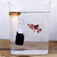 [Trust Family Life Store] Trust Family Life Store Ultra Quiet External Mini Filter ตัวกรองลมขนาดเล็ก Aquarium Mute Submersible Oxygen Fish Aquarium เครื่องสูบน้ำอุปกรณ์เสริม