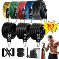 360lbs Fitness Exercises Resistance Bands Set Elastic Tubes Pull Rope Yoga Band Training Workout Equipment for Home Gym Weight Exercise Bands